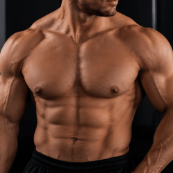 BODY BUILDERS